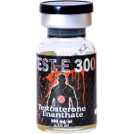 Test E300 (Тестостерон энантат) UFC Pharm балон 10 мл (300 мг/1 мл)